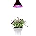 VONT Grow Light Bulb - Perfect Grow Lights for Indoor & Outdoor Plants - Suitable for Hydroponic Garden Greenhouses - VONT Growing Light - 12W E27 - 12 LEDS (3 Blue & 9 Red) - VONT