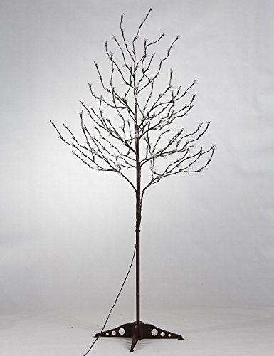 5 Lightshare+Blossom+Tree+Feet+White