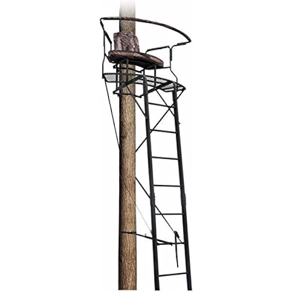 Big dog 2 man ladder stand Clearance