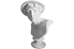 WaNana 5.9''-7.48'' Plaster Bust Statue Resin Casting Painting Sketch Figurines-Michelangelo Sculpture David Venus Apollo-for Home Decoration Art Hobbyist Hermes