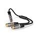 KabelDirekt – (0.5 feet Y Adapter (1 x 3.5mm Female 2 x RCA Female) – Pro Series