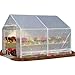 King Canopy Greenhouse 10-Feet by 10-Feet, 1 3/8-Inch Steel Frame, 6-Leg, Opaque, GH1010