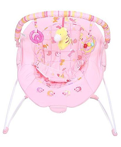 calming vibrations bouncer