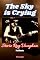 Livro The Sky is Crying : Stevie Ray Vaughan Tributo
