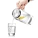 Veesun Glass Water Pitcher with Stainless Steel Lid for Flavorful Infusions 1.3L (44 oz)