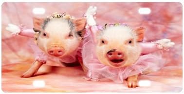 pig License Plate with Vivid color and Detail Images-12" X 6" inches