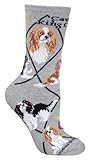 Cavalier King Charles Animal Socks On Gray 9-11