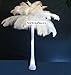 10 Pcs.- Ostrich Feathers Special 17-20