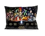 DoubleUSA Star Wars Saga Movie Pillowcases Two Sides Print Zipper Pillow Covers 20