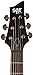C-1 SGR by Schecter Beginner Electric Guitar - Midnight Satin Black (Amazon Exclusive)