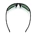 Flying Fisherman 7812BS Sunglass, Matte Black Frames/Smoke Lenses