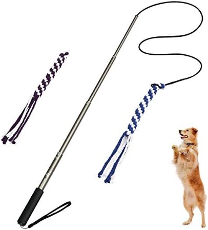 dog toy on a stick