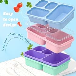 Bento Box for Adults and Snack Containers Set of 4
