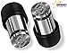 Soundox High Fidelity Ear Plugs for Ear Protection, Concerts, Loud Events | Free Bonus Keychain Case | Comfortable Earplugs for Noise Reduction| Safe Ears| (S,M,L) Sizes - High Polish Space Silver
