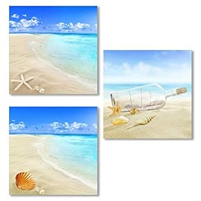 3 Piece Canvas Wall Art for Living Room, Bedroom Seashell Starfish on Beach Canvas Prints for Home Decoration Ready to Hang - 12"x12"x3 Panels