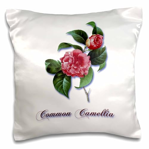 3dRose pc_171171_1 Common Camelia, Botanical Print of Pretty Pink Flowers - Pil…