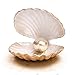 XX Excavation Dig Kit for Kids Mermaid Pearl Bracelet Assembly Kit