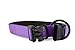 “Classic Comfort Dog Collar” Premium Nylon Neoprene Padded Dog Collar for Small Sized Dog Comfortable Collar for Your Dog by Wagtime Club (Vibrant Purple) SM