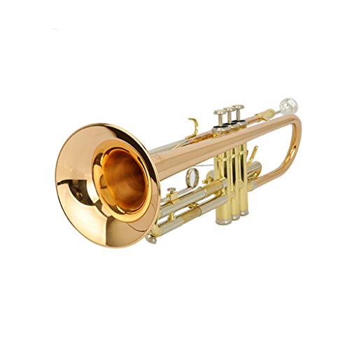 Trumpets B-Flat Performance Cornet Brass Wind Instrument Super Sound Horn Brass (Color : Gold)
