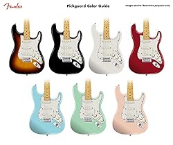 Fender Custom 69 Prewired Stratocaster Pickguard
