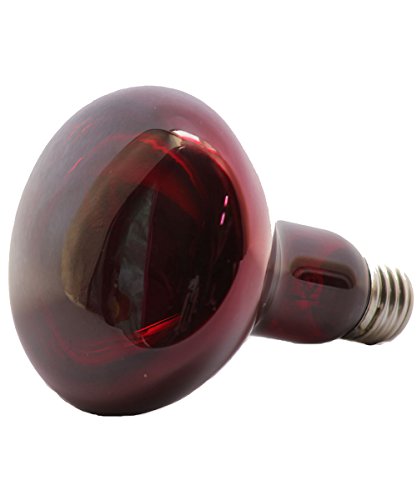 Blue Spotted NightView Wild-Red Heat Lamp Ideal As A 24 Hour Heat Source for Your Pet Reptiles and Amphibians! (100 Watt)