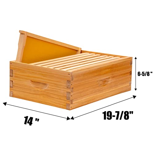 8 Frame Medium Super Box for Honey Bee Hives Beeswax Coated Beehive