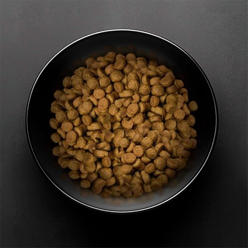 PETEVOLUTION SUPER PREMIUM Alimento Super Premium para Perro 18KG