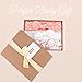 Baby Girls Headbands with Bows 3 Pack Infant Toddler Headwrap Hair Accessories