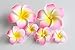 DreamLily Women's Fashion 3 Pcs Hawaiian White Plumeria Flower Foam Hair Clip Balaclavas for Beach (Candy Pink)