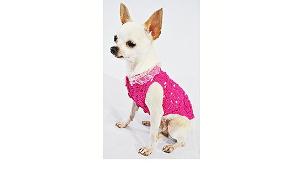 designer dog apparel