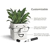 30 Watt | FACE Plant | Novelty Planter That Holds Plants, Glasses & You Can Draw On It. Elegant Ceramic Vase for Succulents, Cacti or Your Average Fern for Your Home | Back to College
