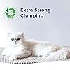Ever Clean Extra Strong Clumping Cat Litter, 10 Litre, Scented