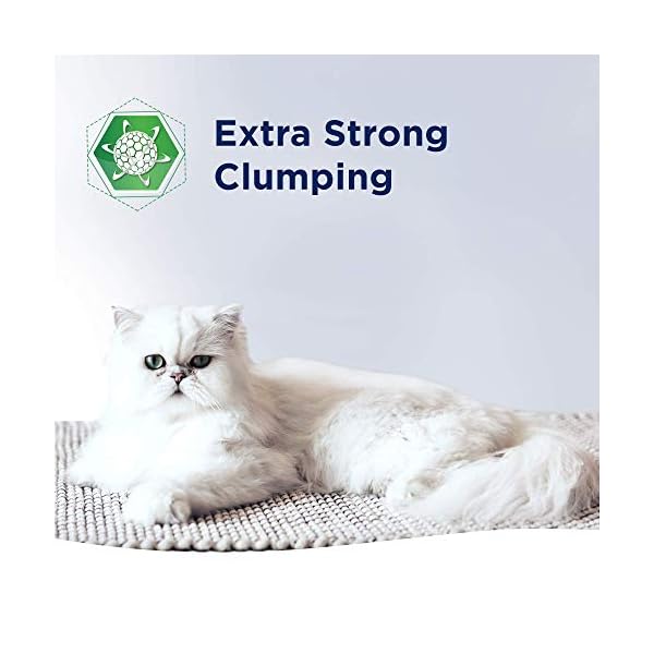 Ever Clean Extra Strong Clumping Cat Litter, 10 Litre, Scented