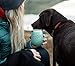 1998 21st Birthday Gifts for Women and Men Mint 12 oz Insulated Stainless Steel Tumbler - 21 Year Old Presents - Mom Dad Wife Husband Present - Party Decorations Supplies Anniversary Tumblers Gift th