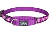 Red Dingo Designer Martingale Dog Collar, Small, Breezy Love Purple