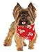 Rubie's Costume 886864 Co Skulls & Bones Pet Bandana, Medium/Large, Red