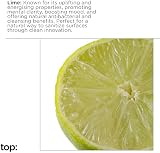 The Lab Co. Fabric & Room Spray 500ml | Anti-Bacterial | Lime Peppermin Cucumber view 9
