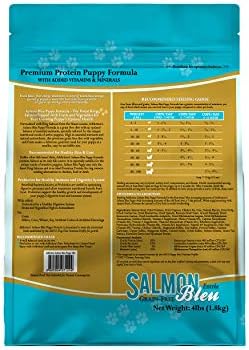 addiction salmon bleu puppy