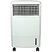 SPT SF-608RA Portable Evaporative Air Cooler