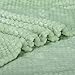 Fuzzy Blanket or Fluffy Blanket for Baby, Soft Warm Cozy Coral Fleece Toddler, Infant or Newborn Receiving Blanket for Crib, Stroller, Travel, Decorative (28Wx40L, XS-Pastel Green)