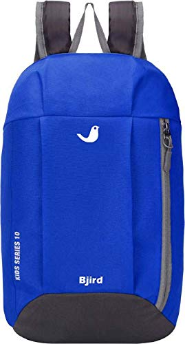 SPG 23 inch Expandable Laptop Backpack (Blue)