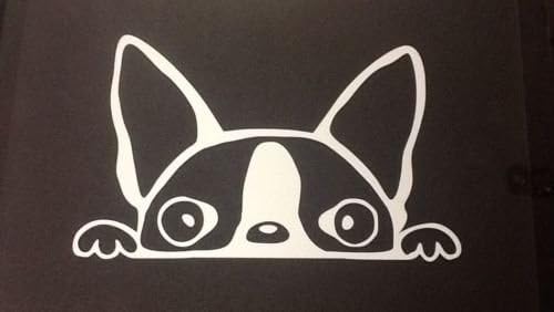 Peeking Boston Terrier (A14) Vinyl Decal Sticker Car/Truck Laptop/Netbook Window 6" Inch- by CustomDecal US