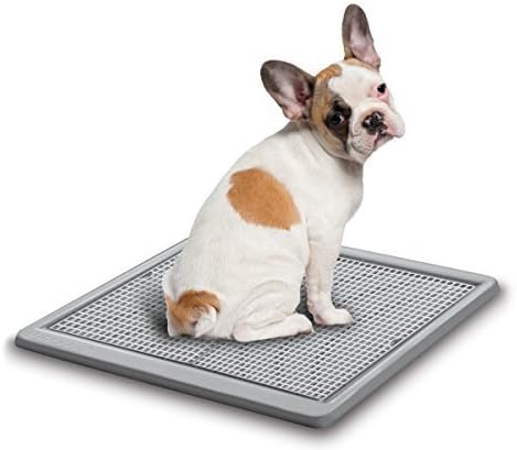UGODOG Indoor Dog Potty by UGO Petcare LLC
