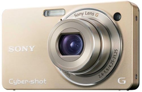 Sony Cyber-shot DSC-WX1 10MP Exmor R CMOS Digital Camera with 5x