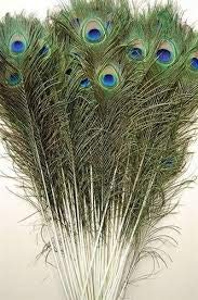 Flow Ki Peacock Mor Pankh Eye Feathers Tails, Pack of 25