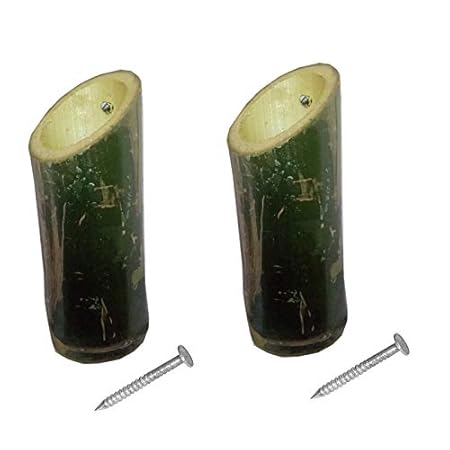 RAREPRODUCTS Planter Set of 2 Pot with NailScrew Free -2 nos