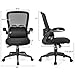 Giantex Ergonomic Desk Chair w/Portable Lumbar Pillow, Mesh Padded Seat and Flip up Armrests, Swivel Home Office Chair with Wheels, Adjustable Height Computer Desk Chair(Black)
