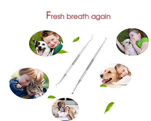 Dog Tooth Care Dental Scaler and Dental Scraper Tool with 2 Pack Pet Tarter Remover with Different Angles Double Head, Stainless Steel Teeth Cleaning Tools for Dogs, Cat
