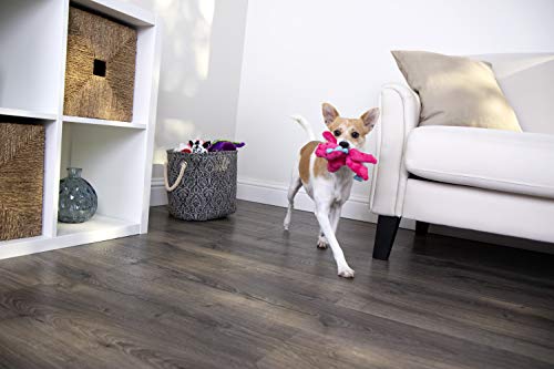 goDog Dragon With Chew Guard Technology Tough Plush Dog Toy, Pink, Small, Bright Pink - //medicalbooks.filipinodoctors.org