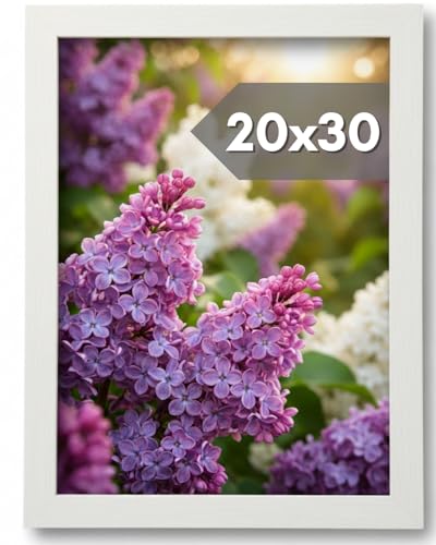 NOOGUI - Frame 20 x 30 cm - White Wood - Anti-Glare Front - For Photos, Diplomas, Poster or Puzzle - Vertical or Horizontal Positioning - Thickness 2 cm - Easy to Clean